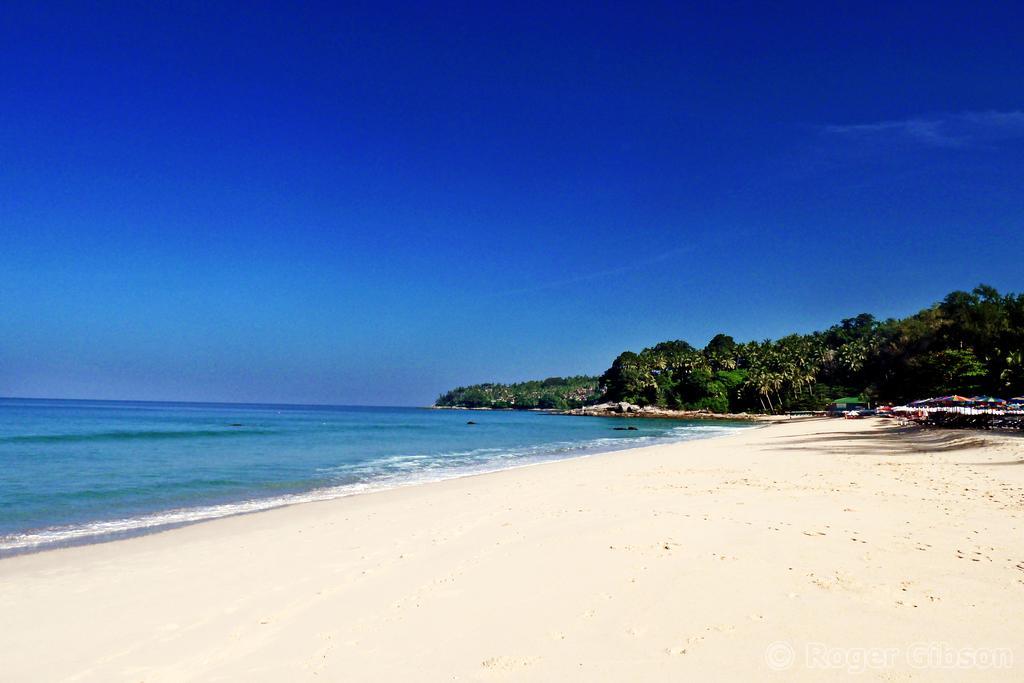Dreams Guesthouse & Hostel Patong Dış mekan fotoğraf
